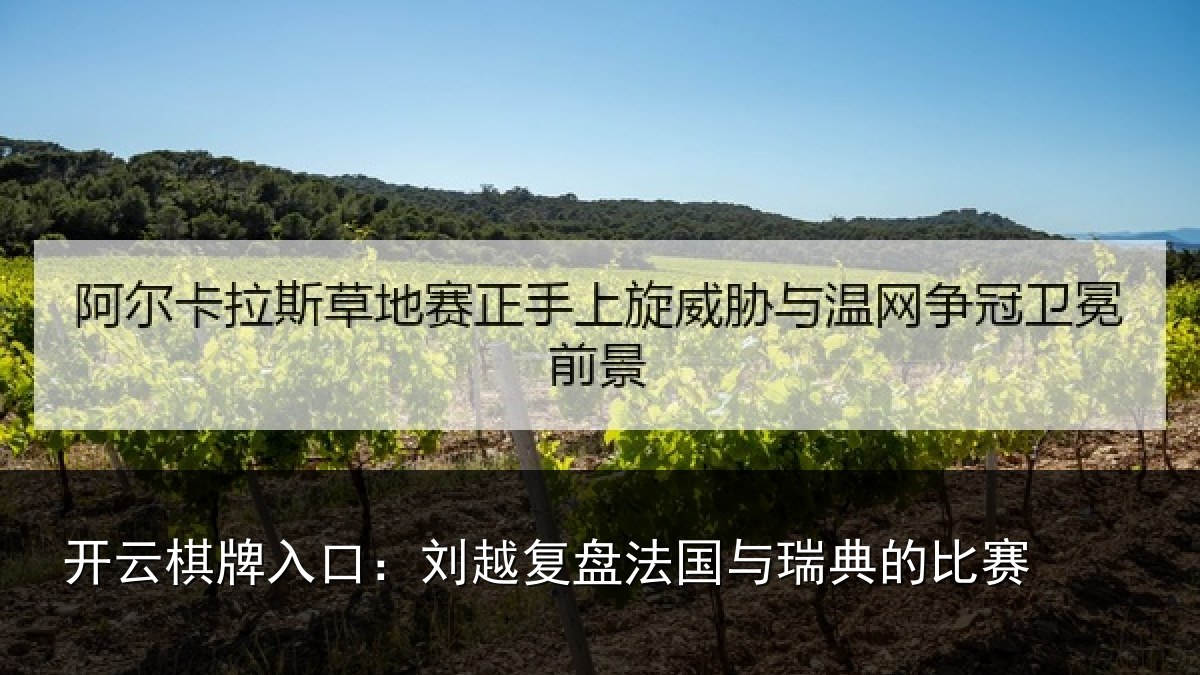 开云棋牌入口：刘越复盘法国与瑞典的比赛
