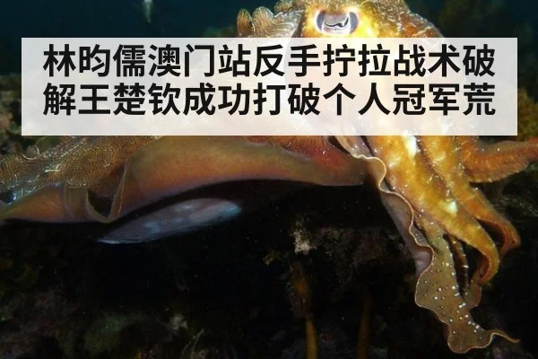 林昀儒澳门站反手拧拉战术破解王楚钦成功打破个人冠军荒